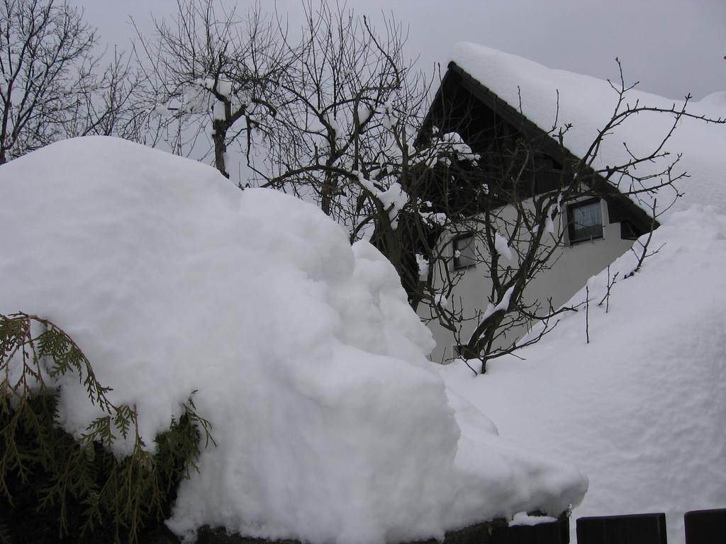 Nasa Hisa Lägenhet Bohinj Rum bild